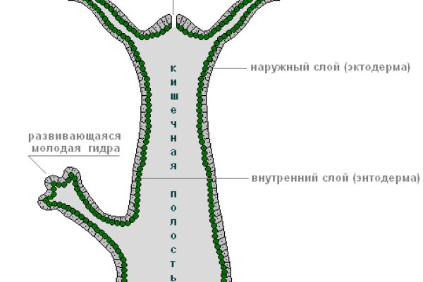 Актуальное зеркало kraken