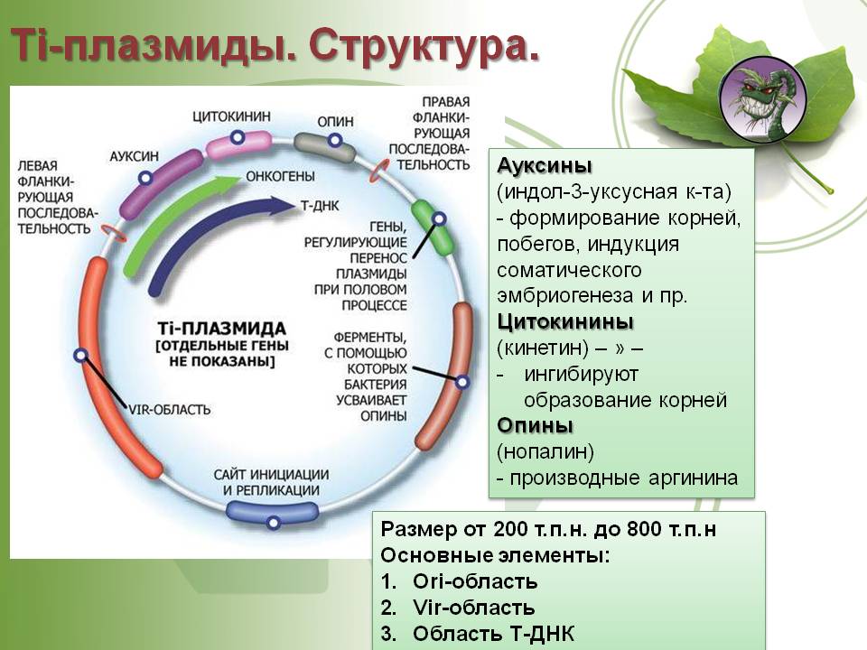 Кракен даркнет kraken014 com