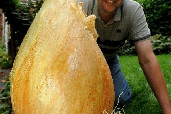 Мега зеркала тор онион мориарти кракен