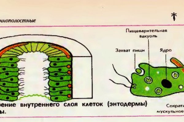 Кракен адрес сайта